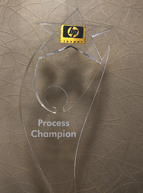 process champion